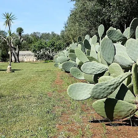 Casa vacanze Casale In Tipica Salentina Con Piscina Copertino